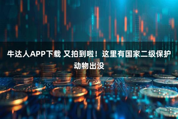 牛达人APP下载 又拍到啦！这里有国家二级保护动物出没