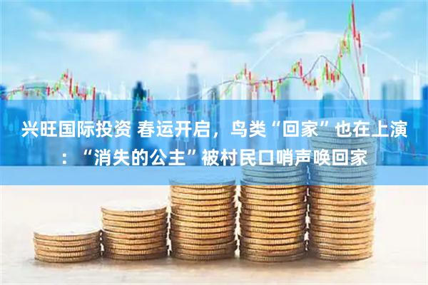 兴旺国际投资 春运开启，鸟类“回家”也在上演：“消失的公主”被村民口哨声唤回家