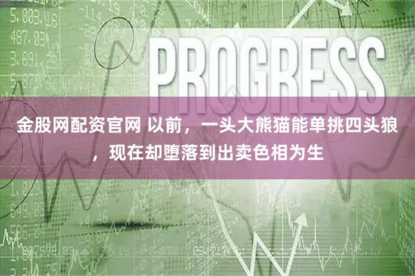 金股网配资官网 以前，一头大熊猫能单挑四头狼，现在却堕落到出卖色相为生