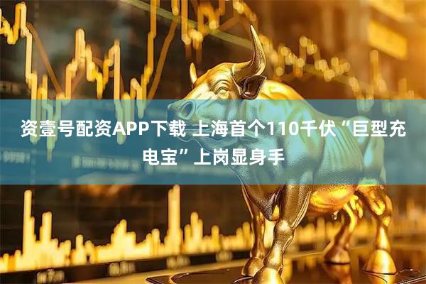资壹号配资APP下载 上海首个110千伏“巨型充电宝”上岗显身手